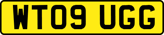 WT09UGG