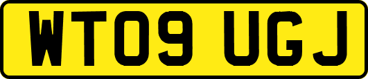 WT09UGJ