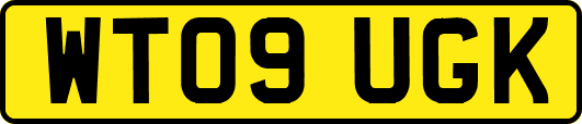 WT09UGK