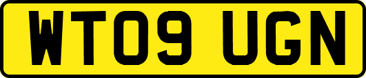 WT09UGN