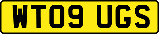 WT09UGS