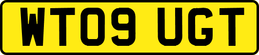 WT09UGT