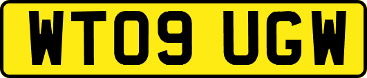WT09UGW