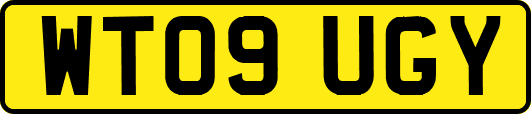 WT09UGY