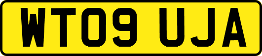 WT09UJA