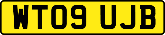 WT09UJB