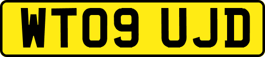 WT09UJD
