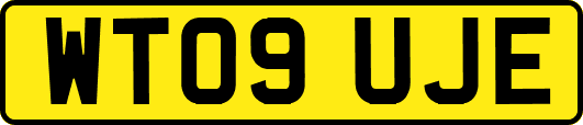 WT09UJE