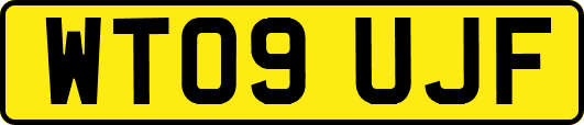 WT09UJF