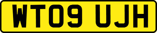 WT09UJH