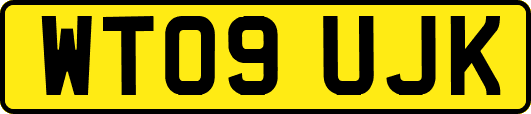 WT09UJK