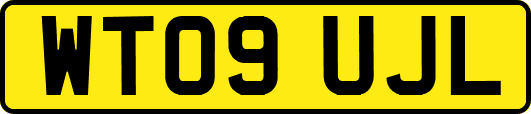 WT09UJL