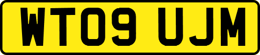 WT09UJM