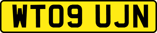 WT09UJN