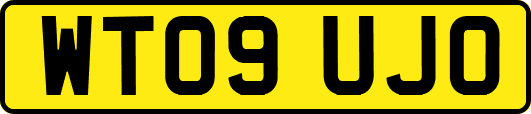 WT09UJO