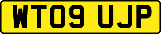 WT09UJP