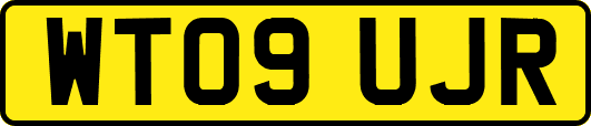 WT09UJR
