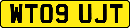 WT09UJT