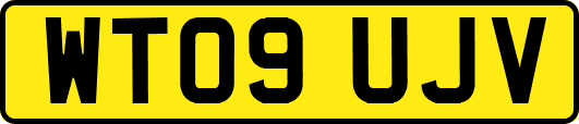 WT09UJV