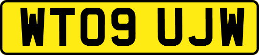 WT09UJW