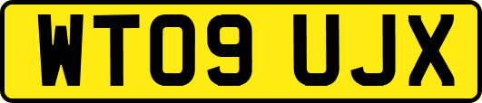 WT09UJX