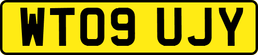 WT09UJY