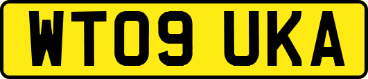 WT09UKA