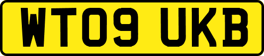 WT09UKB