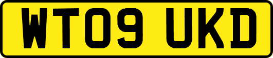 WT09UKD