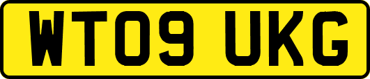 WT09UKG