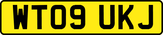 WT09UKJ