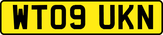 WT09UKN
