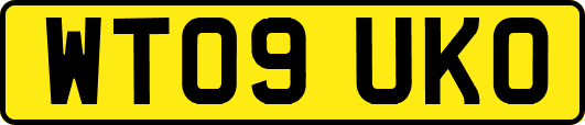WT09UKO