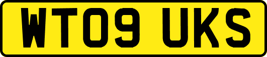 WT09UKS