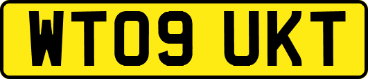 WT09UKT