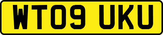 WT09UKU