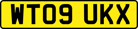 WT09UKX