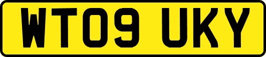 WT09UKY