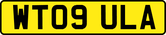 WT09ULA