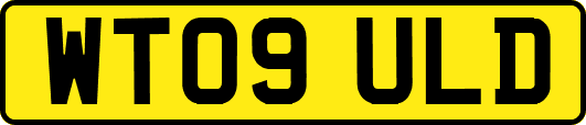 WT09ULD