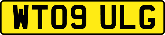 WT09ULG