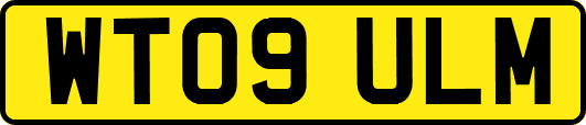 WT09ULM