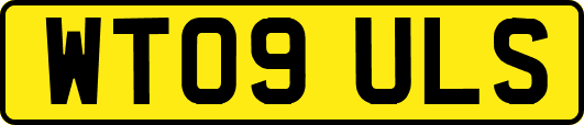 WT09ULS