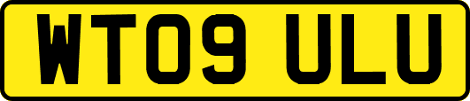 WT09ULU