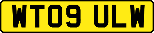 WT09ULW