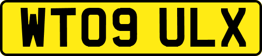 WT09ULX