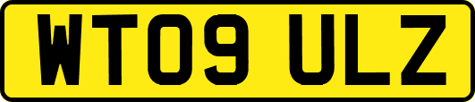 WT09ULZ
