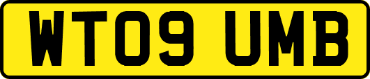WT09UMB