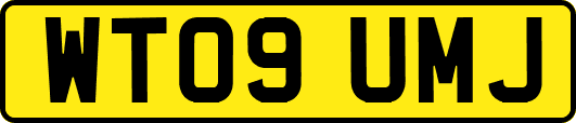 WT09UMJ