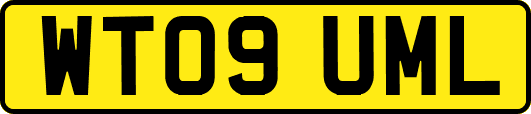 WT09UML